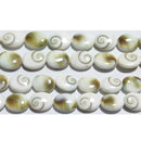 シヴァアイ約10*8mmB （天然石ビーズ）