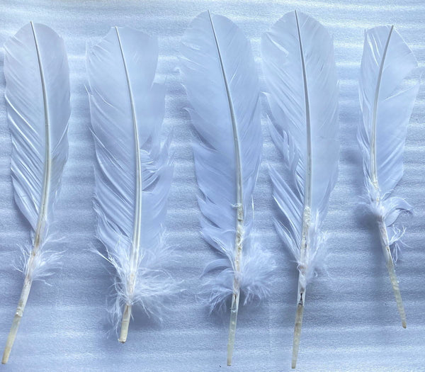 羽ペン 白 【訳あり】