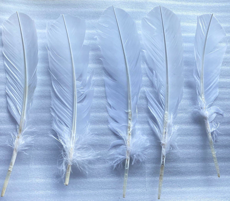 羽ペン 白 【訳あり】