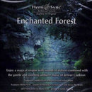 Enchanted Forest