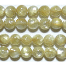ゴールデンレピドライトキャッツアイ丸玉8mmA （天然石ビーズ）