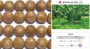 神宮御山杉 太珠 極12mm （ウッド系ビーズ）