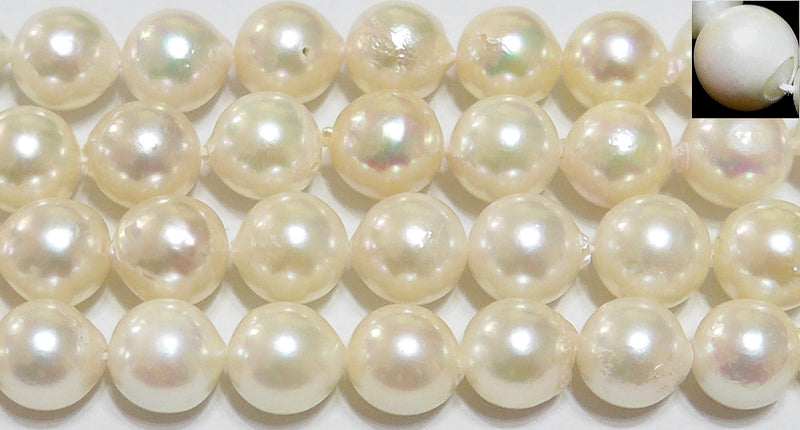 アコヤ真珠丸玉7-7.5mmB （天然石ビーズ）