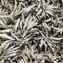 ホワイトセージ 約60g