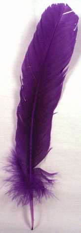 羽ペン 紫※訳あり