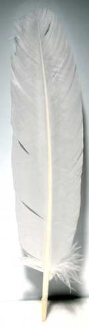 羽ペン 白