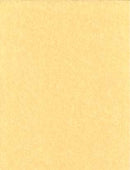 パーチメント5枚